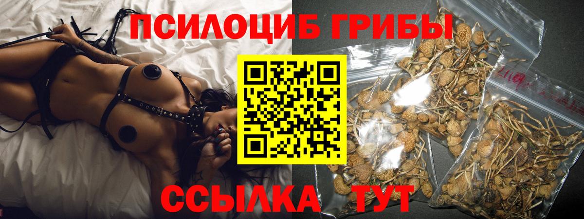 Петровск  Псилоцибиновые грибы MAGIC MUSHROOMS  Вход с VPN 
